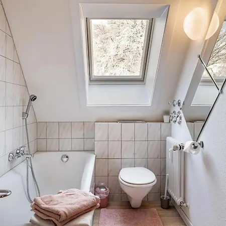 公寓 Haus Doktor Saeltzer Bis 13personen 伦茨基希