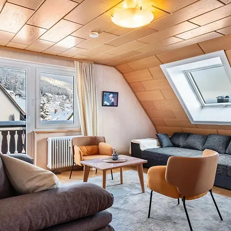 Haus Doktor Saeltzer Bis 13personen 公寓 *