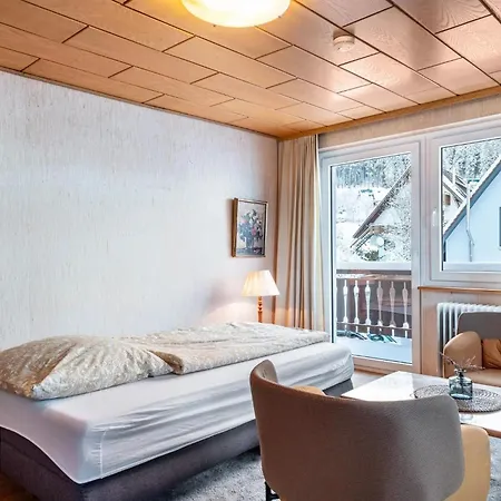 Haus Doktor Saeltzer Bis 13personen 公寓