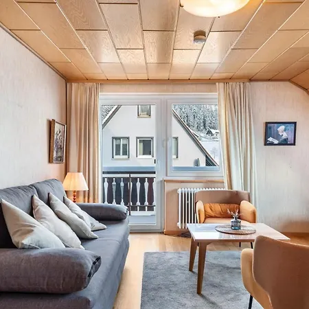 Haus Doktor Saeltzer Bis 13personen 伦茨基希