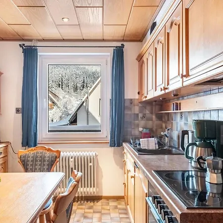 公寓 Haus Doktor Saeltzer Bis 13personen