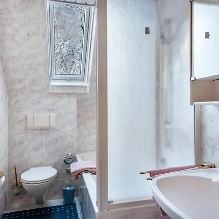 公寓 Haus Doktor Saeltzer Bis 13personen 伦茨基希