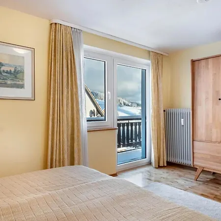 Lejlighed Haus Doktor Saeltzer Bis 13personen Lenzkirch