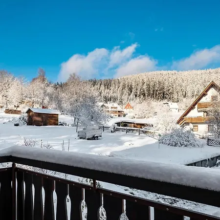 Lejlighed Haus Doktor Saeltzer Bis 13personen