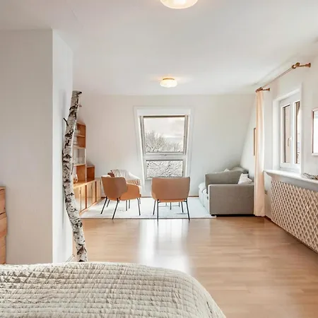 公寓 Haus Doktor Saeltzer Bis 13personen 伦茨基希