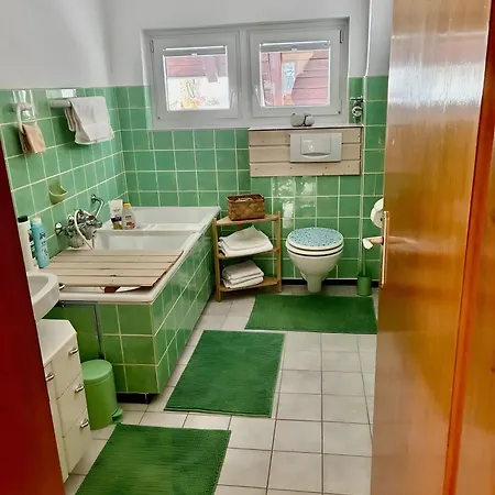 Haus Doktor Saeltzer Bis 13personen Lejlighed Lenzkirch