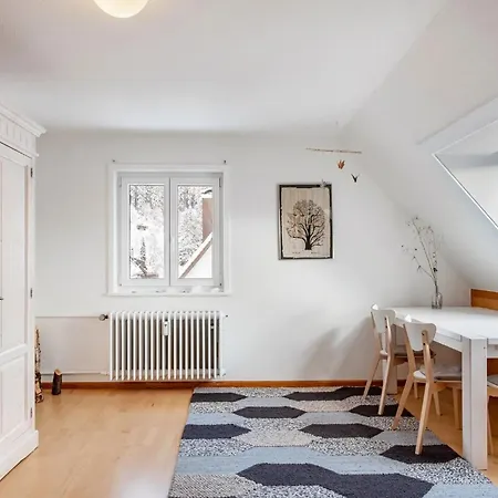 Haus Doktor Saeltzer Bis 13personen 公寓 *