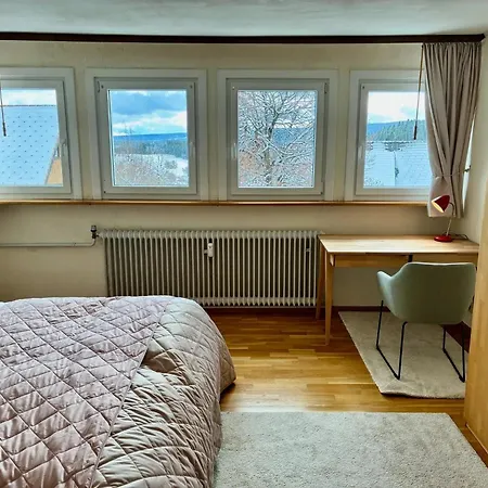 Haus Doktor Saeltzer Bis 13personen Apartment